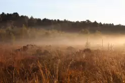 landscape_10