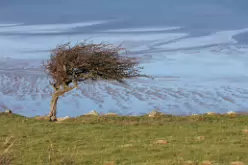 landscape_12