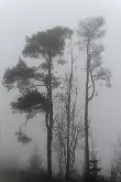 landscape_6