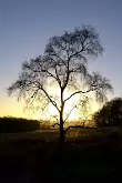 landscape_8
