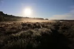 landscape_9